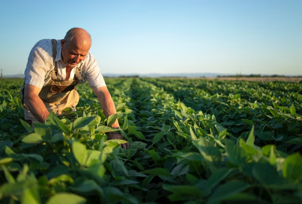 AgroNature Services - agronomie naturelle et agriculture biologique