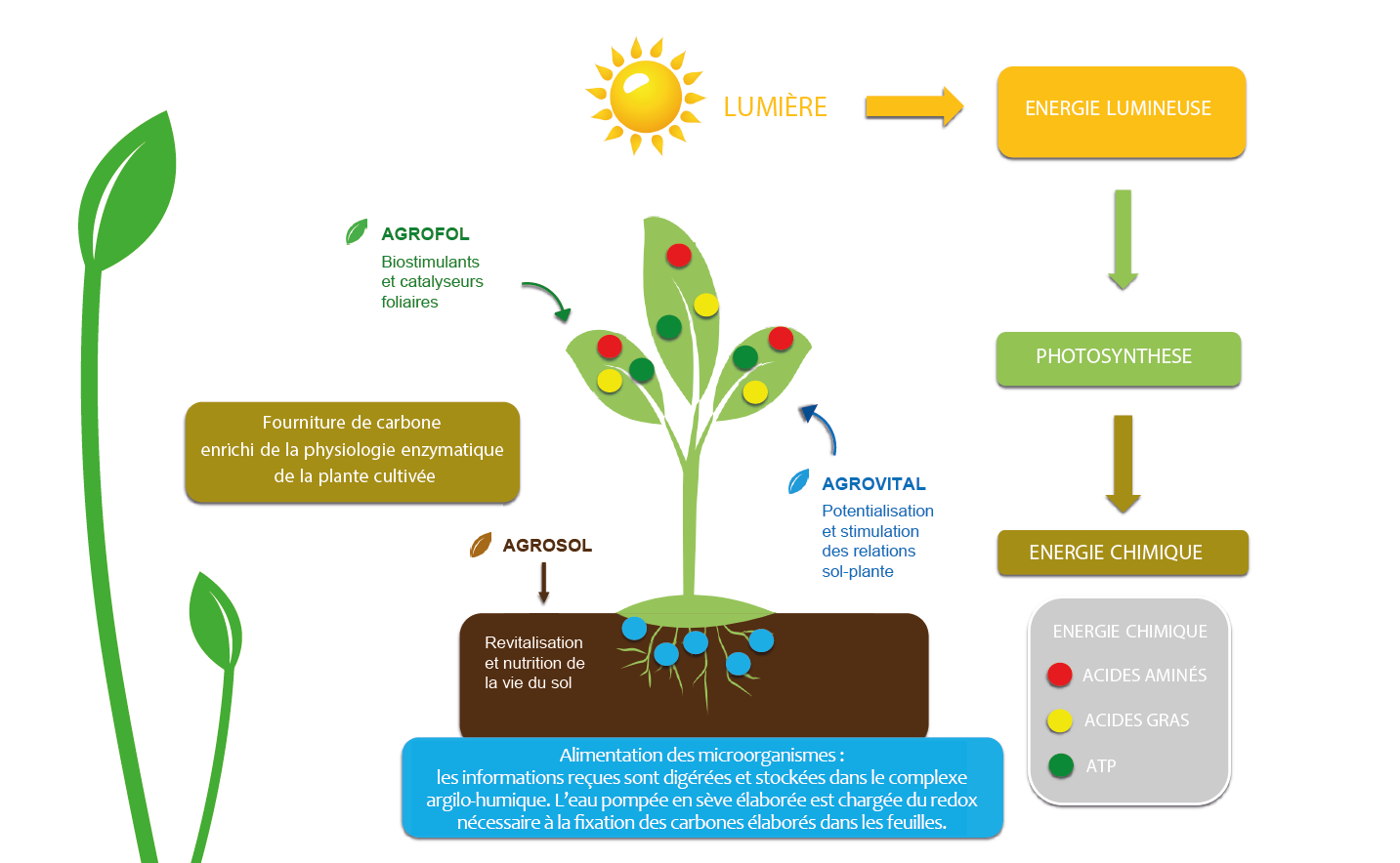 procédés agronature schéma